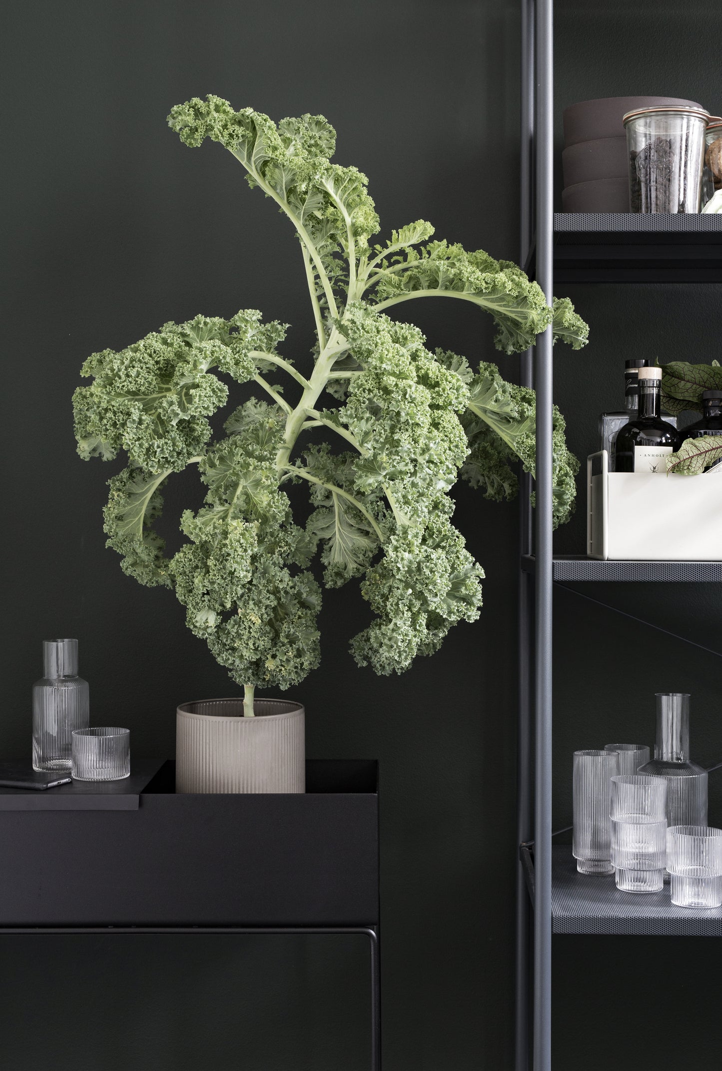 Ferm Living | Plant Box - Bolighuset Werenberg