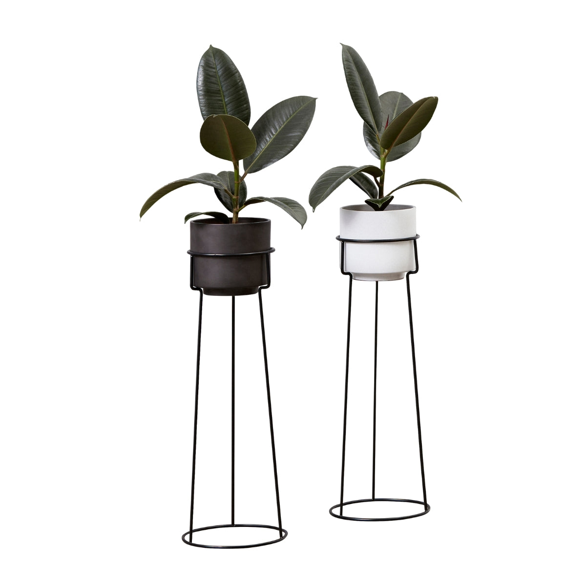 Andersen | A-Plant Stand