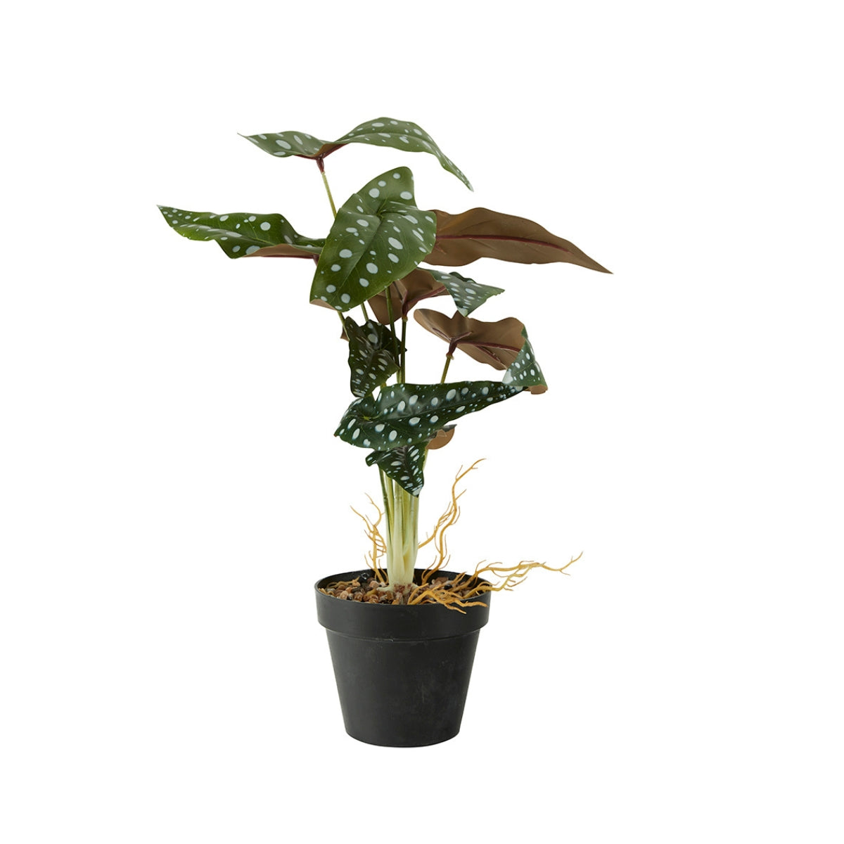Bahne | Dotted Begonia, kunstig plante - Bolighuset Werenberg 